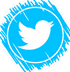Link to Twitter