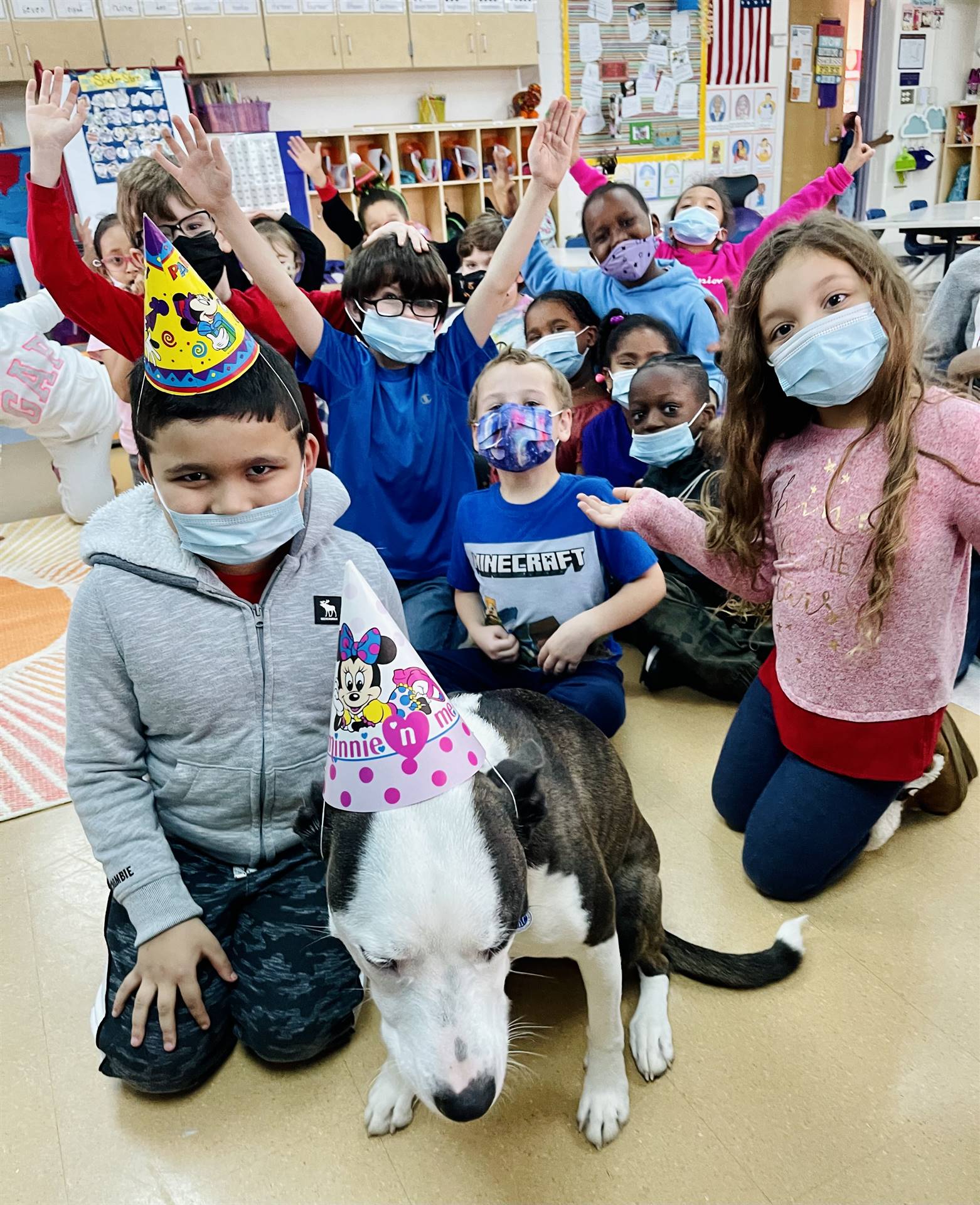 Students in a classroom in party hats, with a dog also wearing a party hat