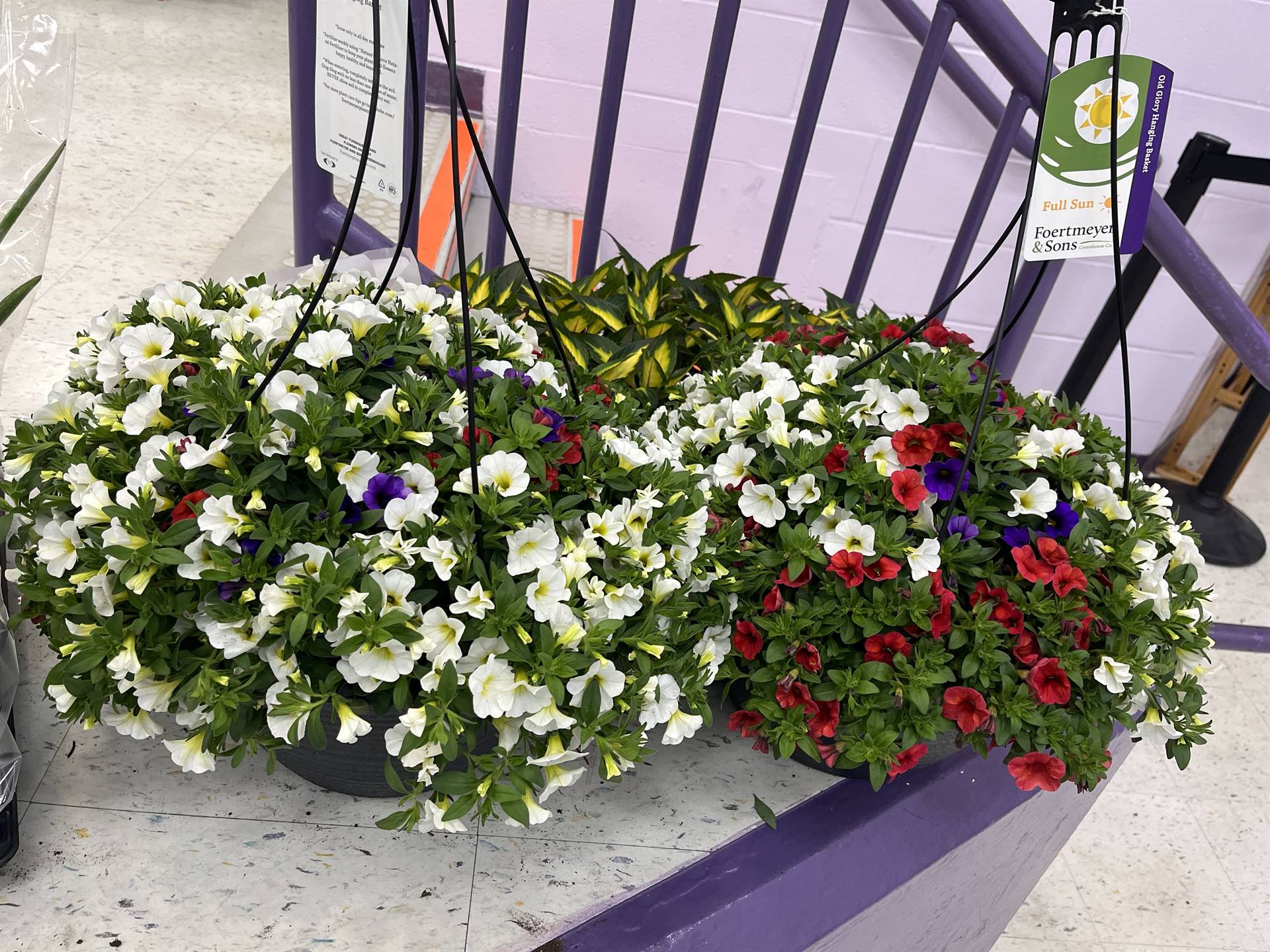 Spring Flower Sale