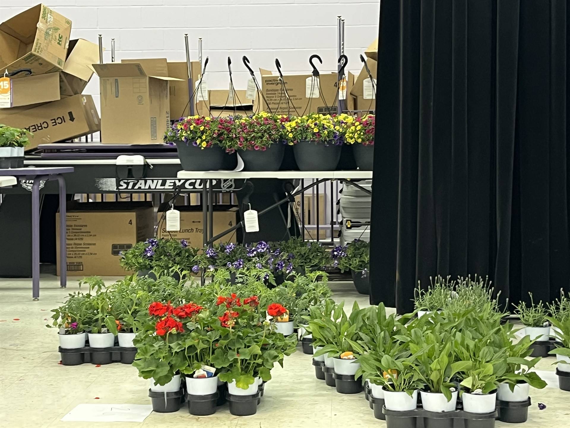 Spring Flower Sale