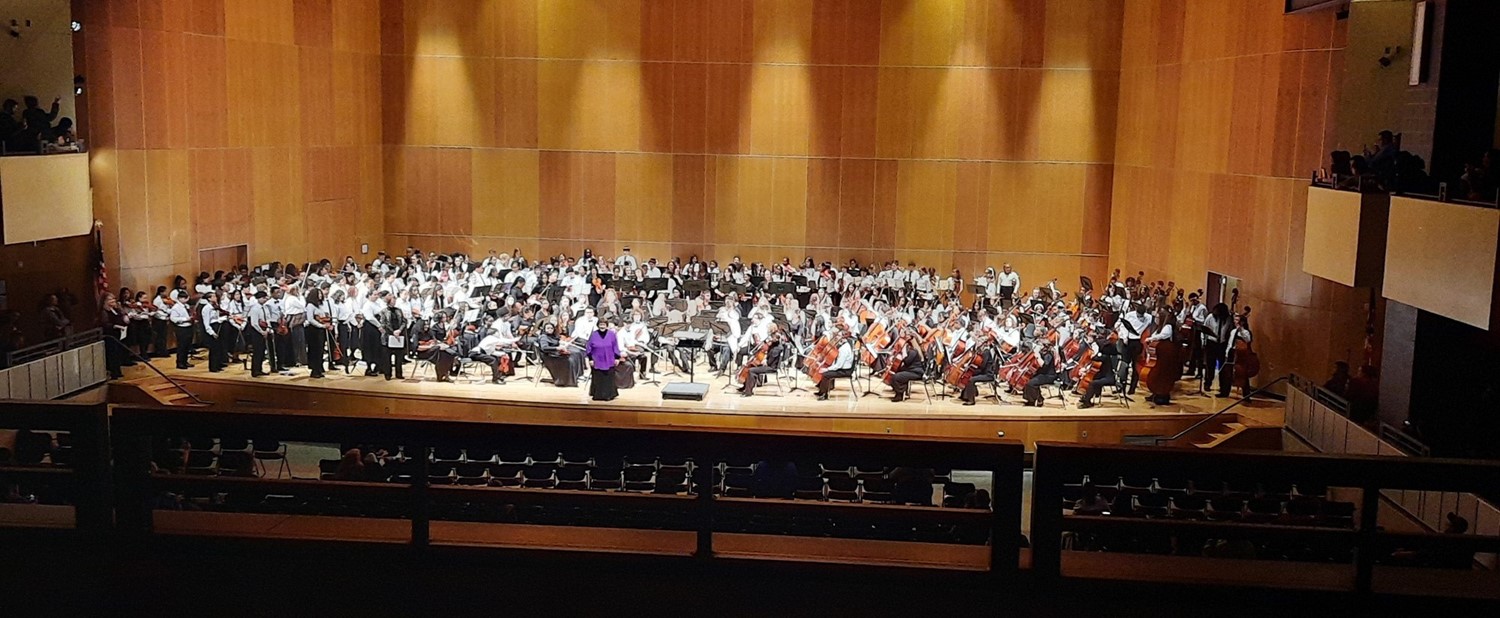 50 Years of Orchestra