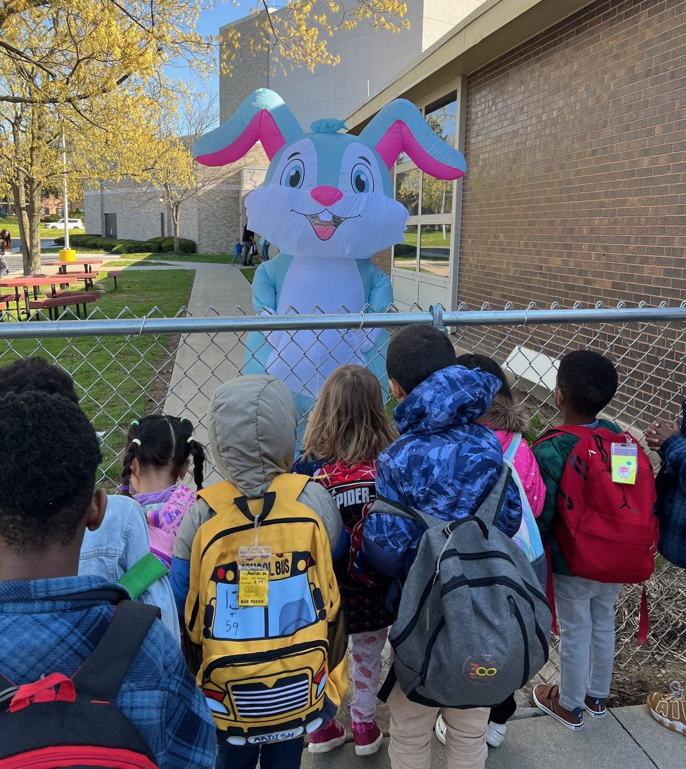spring bunny
