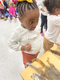 Naturalist Visit 2023